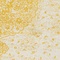 See color option for 8' x 8' Dover Round Rug