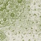 See color option for 10' x 14' Bexley Rug