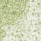 See color option for 5' x 8' Bexley Rug