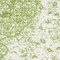 Link to variation of this rug: SKU#3144195