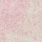 See color option for 5' x 8' Bexley Rug