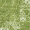 See color option for 5' x 5' Bexley Round Rug