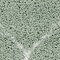 See color option for 4' x 6' Marrakesh Shag Rug