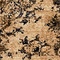 See color option for 4' 5 x 4' 5 Graham Square Rug