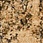 See color option for 2' 2 x 9' 10 Graham Runner Rug