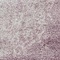 See color option for 2' 2 x 3' Estate Rug