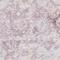 See color option for 3' 3 x 3' 3 Legacy Round Rug