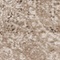 See color option for 2' 2 x 6' Legacy Runner Rug