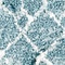 See color option for 2' 4 x 6' Atlas Runner Rug