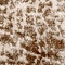 See color option for 4' 5 x 6' 3 Atlas Rug