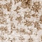 See color option for 2' 4 x 6' Atlas Runner Rug