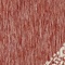 See color option for 4' x 4' Outdoor Border Round Rug