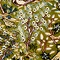 See color option for 5' x 5' Nain Design Round Rug
