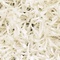 See color option for 30cm x 30cm Solid Shag Sample Rug
