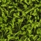 Link to variation of this rug: SKU#3145705