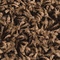Link to variation of this rug: SKU#3145702