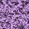 Link to variation of this rug: SKU#3145705