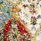 See color option for 2' x 6' Venice Runner Rug