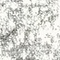 See color option for 2' x 6' Venice Runner Rug