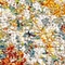 See color option for 2' x 6' Venice Runner Rug