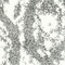 See color option for 2' x 3' Venice Rug