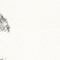 See color option for 2' x 6' Venice Runner Rug