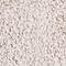 See color option for 3' 3 x 3' 3 Zermatt Shag Round Rug
