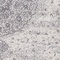 See color option for 8' x 11' Dover Rug