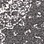 See color option for 2' x 8' 8 Dover Runner Rug