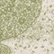 See color option for 6' x 9' Dover Rug