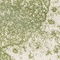 See color option for 3' 3 x 5' 3 Dover Rug